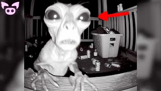 Watch Scary Videos LIVE Ghosts Cryptids Shadow Figures and More [upl. by Bornstein]