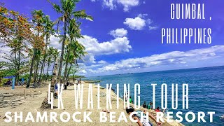 SHAMROCK BEACH RESORT 4K WALKING TOUR GUIMBAL PHILIPPINES [upl. by Tu929]