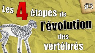 PaléoJ 3  les 4 étapes de lévolution des Vertébrés [upl. by Hayidan]