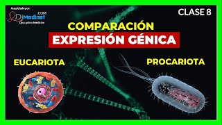 🔴 8 COMPARACION entre EUCARIOTAS y PROCARIOTAS de la EXPRESION GENICA🧬 ▶ BIOLOGIA MOLECULAR [upl. by Natala332]