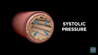 Systole vs Diastole  Match Health [upl. by Bodi]