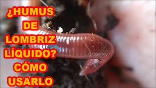 HUMUS DE LOMBRIZ LÍQUIDO LIXIVIADOS ¿QUE HACER CON ELLOS🐍🐍🐍 PARTE 4 [upl. by Ahsinrev]