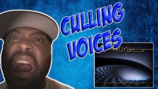 Tool  Culling Voices  REACTION VIDEO [upl. by Evanthe]