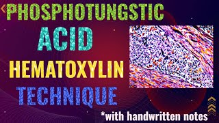 Phosphotungstic acid hematoxylin technique PTAH stain [upl. by Telrats]