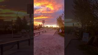 🌅 Awakening Skies 🌇 Fiery Sunrise Over Calgary Alberta Canada 🍁 shorts travel canada city [upl. by Yoral]