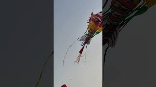 Beach kite fest 🌊🌊🌅 beach kitefest shorts shortvideo [upl. by Sekyere161]