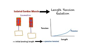 Cardio 1  Physiology  curves [upl. by Monafo483]