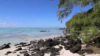 1h Plage Paradisiaque Lagon Bleu Filaos  Musique Zen amp Relaxante  RelaxTv [upl. by Entroc91]