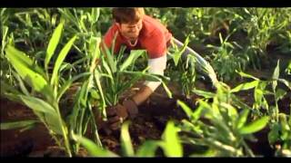 Canada Dry Ginger Ale  Growing on the Farm [upl. by Anyahc27]