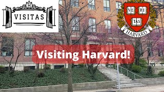 Harvard Visitas 2022 [upl. by Ardnekan159]