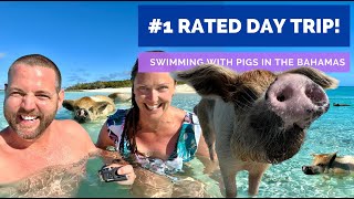 Swimming With Pigs in The Bahamas THE ORIGINAL SWIMMING PIGS [upl. by Gavan197]