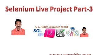 Selenium Live Project Part  3 [upl. by Sairahcaz]