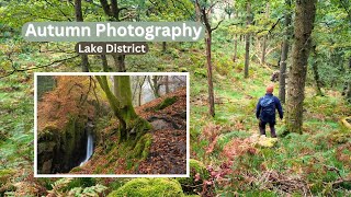 Autumn Photography in the Same Woodland Over a Month [upl. by Hy485]