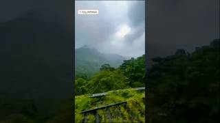 Sakleshpur 💚 nature natureview naturelovers sakleshpur travel ytshorts railway bridge [upl. by Domenico]