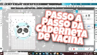 COMO FAZER CADERNETA DE VACINA  PARTE 1 [upl. by Atenik]