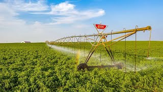 Center pivot irrigation system [upl. by Comptom]