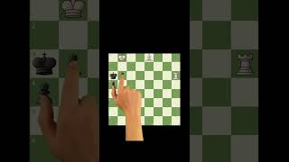 Beautiful 2 moves Checkmate [upl. by Aihtnic730]