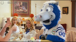 Colts Mascot Blue and tea time etiquette [upl. by Eanrahc]