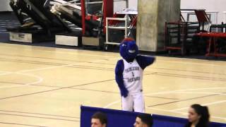 Nitro the Knight Mascot  CCSU vs Fairleigh Dickinson Mens Basketball  February 02 2013 [upl. by Cassidy475]