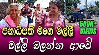 මගෙ නැන්දම්මගේ පුතා අනුර  දැක්කද වාහන දෙකයි  ඉස්සර චොපරුත් එනවා  ත්‍රීමලේ මිනිසුන් හඬමින් කියයි [upl. by Llemhar804]