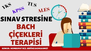 Bach Çiçekleri Terapisi Nelere İyi Gelir Her Türlü Stresi ve Kaygıyı Giderir Mi [upl. by Sane852]