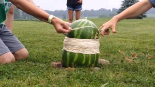 Watermelon400 rubber bands [upl. by Dell634]