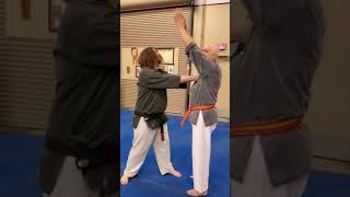 Pinan Yondan Bunkai SelfDefense [upl. by Matias529]