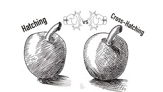 Hatching vs Cross hatching [upl. by Aydiv305]