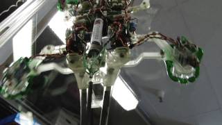 Stanfords Stickybot a Geckolike robot climbs vertical services [upl. by Hamlen493]