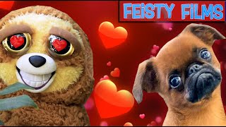 Feisty Pets In Love Compilation [upl. by Raina]