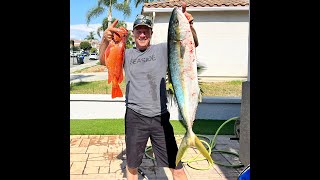 Coronado Islands First Yellowtail this year 148 pounds  Vermillion lingcod and barracuda [upl. by Yasui]