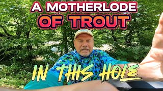 I Hit The Motherlode of Trout In Cherokee [upl. by Latsyrk]