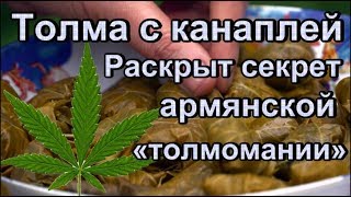 Раскрыт секрет армянской «толмомании» [upl. by Mersey639]