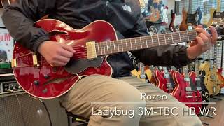 Rozeo Ladybug SMTBC HB WR LAST GUITAR [upl. by Anasiul62]