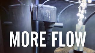 Adding Powerheads for Increased Flow in My Aquariums [upl. by Rurik]