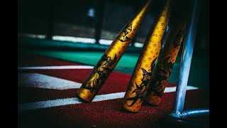 The 2023 DeMarini Voodoo One BBCOR Bat [upl. by Ettelracs]