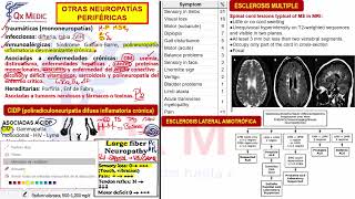 1 OTRAS NEUROPATÍAS PERIFÉRICAS [upl. by Sluiter814]