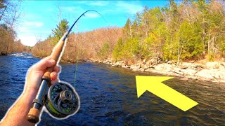 HENDRICKSON HATCH  Fly Fishing The Farmington River For BIG TROUT [upl. by Aihsiyt]