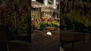 Diwali dinnerO by Tamara dineernight diwali shortsfeed trendingshorts trendingnow [upl. by Ybanrab]