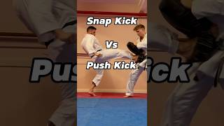 Snap kick vs push kick martialarts kicks karate kickboxing taekwondo [upl. by Suoivatnod]