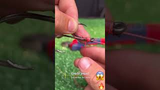 How to Tie 2 Fishing Hooks in One Knot  Easy Fishing Rig Tutorial [upl. by Hanover469]