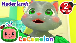 3 Kleine Kittens Lied  Schattig  CoComelon Nederlands  Kinderliedjes [upl. by Blossom]