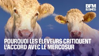 Pourquoi les éleveurs critiquent laccord avec le Mercosur [upl. by Dnomde882]