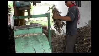 Cotton Stalk Grnding Video hammer mill grinder biomass grinder hammer mill grinder [upl. by Sluiter572]