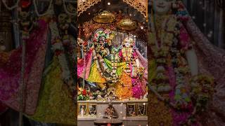 Manse bolo radhe radhe 🙏 ji 🙏🪷radhakrishna sorts [upl. by Nythsa]