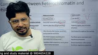 Euchromatin vs heterochromatin  heterochromatin and euchromatin difference [upl. by Ahsuatan]