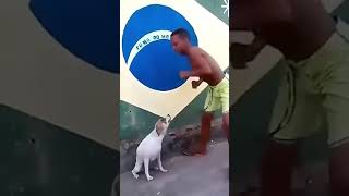 Video de relleno 10 humor shorts memes apoyo [upl. by Ellehsal100]