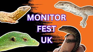 MONITOR FEST UK Paul’s Monitors reptile room [upl. by Oijimer]