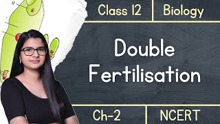 Class 12  Double Fertilisation amp Triple Fusion  under 4 mins [upl. by Yesima455]