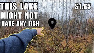 Fishing in Lakes that Might not Contain Fish  S1E5 [upl. by Arber]